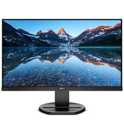 Monitor 25 252B9 IPS 16:10 DVI HDMI DP Pivot