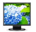 Monitor 17 cali LCD MS E172M bk 1280x1024, HDMI, VGA