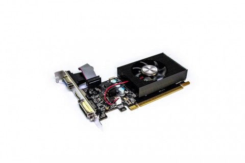 Karta graficzna GeForce GT 610 1GB DDR3 64Bit DVI HDMI VGA LP FAN