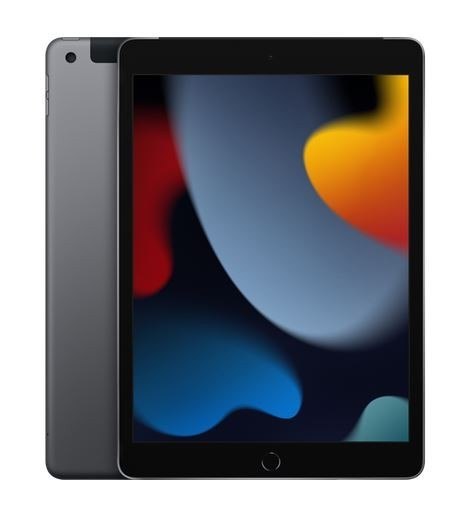 IPad 10.2 cala Wi-Fi 256GB - Gwiezdna szarość