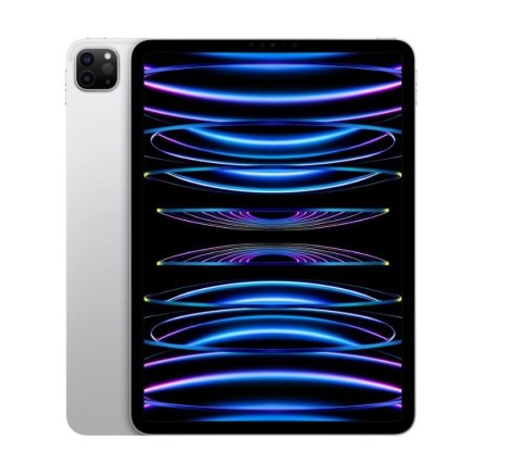 IPad Pro 11 cala Wi-Fi 256 GB Srebrny