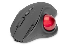 DIGITUS MYSZ BEZPRZEWODOWA TYPU TRACKBALL, ERGONOMICZNA, BLUETOOTH LUB USB C, CZARNA DA-20156