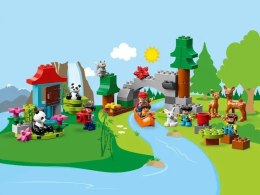 LEGO DUPLO 10907 Zwierzęta Świata