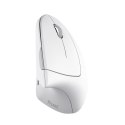 Mysz TRUST Verto Wireless vertical ergonomic White