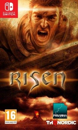 Gra Nintendo Switch Risen