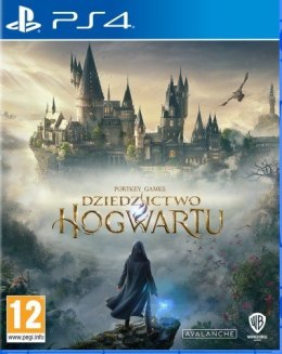 Gra PlayStation 4 Dziedzictwo Hogwartu