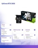 Karta graficzna GeForce RTX 3050 Pegasus 8GB GDDR6 128bit DVI/DP/HDMI