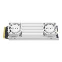 Dysk SSD 2TB M.2 2280 CS3150 M280CS3150HSW-2TB-RB WHITE HEATSINK