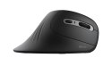 Mysz TRUST Verro Ergonomic Wireless Mouse