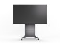 Monitor wielkoformatowy MultiSync M751 IGB 75 cali UHD 24/7 500cd/m2