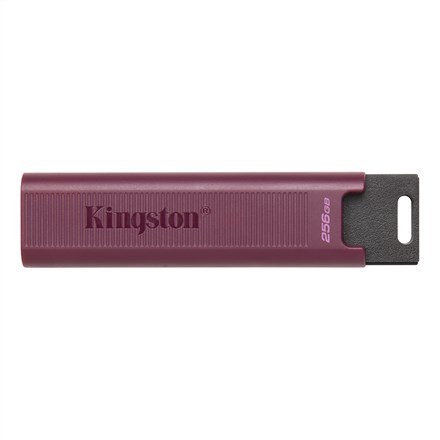 MEMORY DRIVE FLASH USB3.2/256GB DTMAXA/256GB KINGSTON