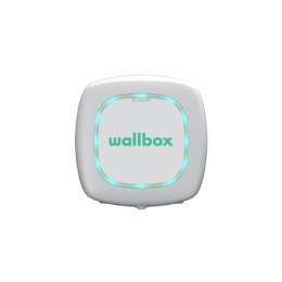 Wallbox Pulsar Plus, biały, ścienny, czarny, AC, typ 2, IK08 - 5m