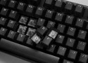 Klawiatura gamingowa Ducky One 3 Aura Black TKL, RGB LED - MX-Red (US)