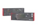 GENESIS Thor 420 RGB klawiatura Gaming USB AZERTY US English Srebrny