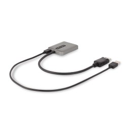 StarTech.com MST14DP122DP adapter kablowy 0,3 m DisplayPort 2 x DVI Szary