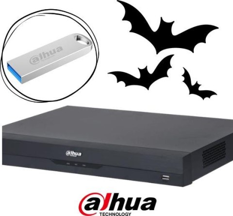 REJESTRATOR IP DAHUA NVR4216-EI + pendrive