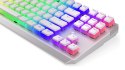 Klawiatura gamingowa ENDORFY Thock TKL Pudding Onyx White Blue RGB