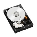 Dysk HDD WD Black WD1003FZEX (1 TB ; 3.5"; 64 MB; 7200 obr/min)