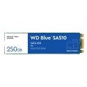 Dysk SSD WD Blue WDS250G3B0B (250 GB ; M.2; SATA III)