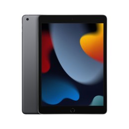 Apple iPad 10.2 Wi-Fi 256GB Space Gray