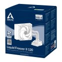 Chłodzenie wodne Arctic Liquid Freezer II - 120