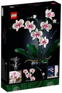 LEGO Icons 10311 Orchidea