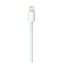 Apple Przewód ze złącza Lightning na USB (2m) MD819ZM/A