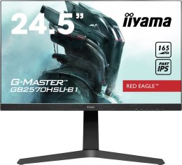 MONITOR IIYAMA LED 25