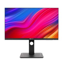 Monitor DW2401 23.8 cala USB-C WQHD czarny