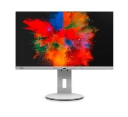 Monitor P2410 TE P S26361-K1699-V140