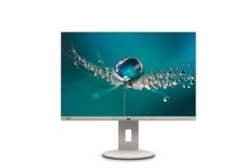 Monitor 24.1 cali B2410 WE S26361-K1697-V140