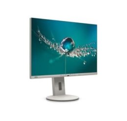 Monitor 24.1 cali B2410 WE S26361-K1697-V140